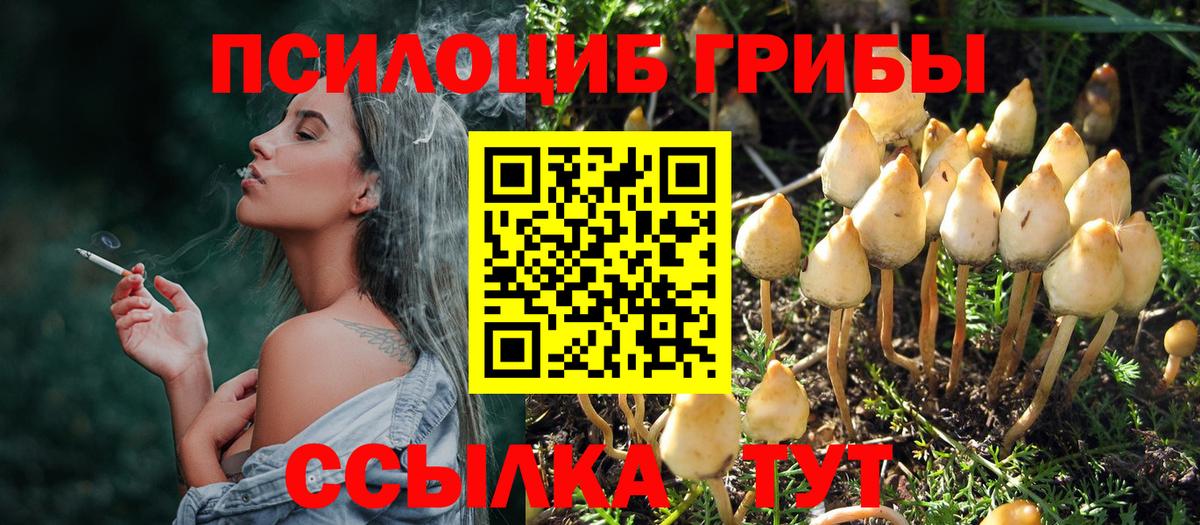 наркота  Вход с VPN  Кушва  Галлюциногенные грибы MAGIC MUSHROOMS 